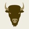 bison-design-group