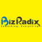 bizradix