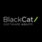 blackcat-technology-solutions