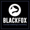 blackfox-marketing