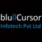 blucursor-infotech-private