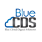 blue-cloud-digital-solutions