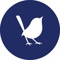 blue-wren