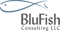 blufish-consulting