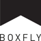 boxfly