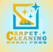 carpet-cleaning-dubai-pros