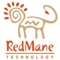 redmane-technology