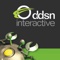 ddsn-interactive