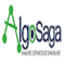 algosaga-digital-marketing-agency