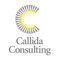 callida-consulting