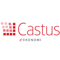 castus-ekonomi