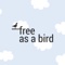 free-bird-design