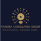 panora-consulting-group