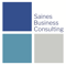 saines-business-consulting