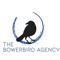bowerbird-agency