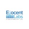 ellocent-labs-it-solutions-private