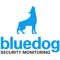 bluedog-security-monitoring