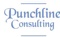 punchline-consulting