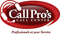 call-pros-call-center