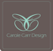 carole-carr-design