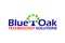 blue-oak-technology-services