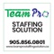 team-pro-staffing-solution