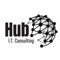 hub-it-consulting