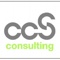ccs-consulting