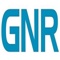 gnr-global-network-recruiting