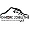 penncore-consulting