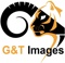 gt-images