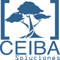 ceiba-intelligent-solutions-srl