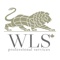 wls-professional-services