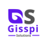 gisspi-solutions