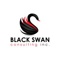 black-swan-consulting