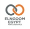 elngoom-egypt-logistics