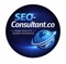 seo-consultant-1