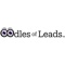 oodles-leads