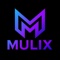 mulix-digital