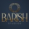 barish-studios