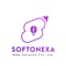 softonexa-web-solution