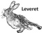 leveret-systems