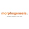 morphogenesis-architects