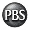 pbs-power-seo