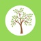 treecology-arboriculture