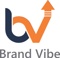 brand-vibe-consulting