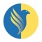 falcon-informatics