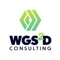 wgs2d-consulting