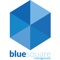 blue-square-management