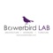bowerbird-lab